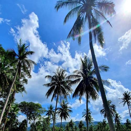 Photo #5818233