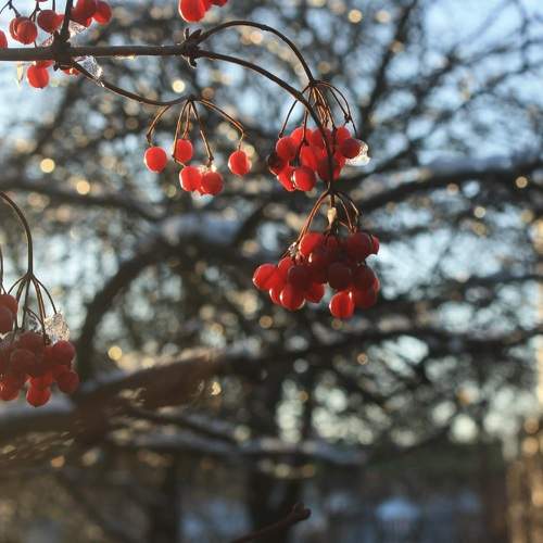 Photo #5818243
