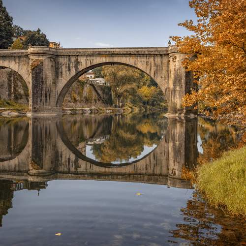 Photo #5818294