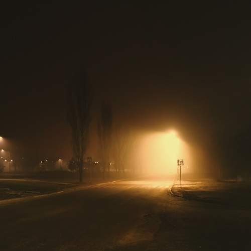 Photo #5818415