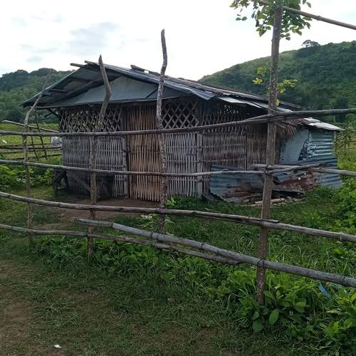 Photo #5818532