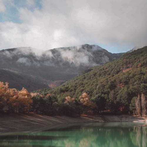 Photo #5818568