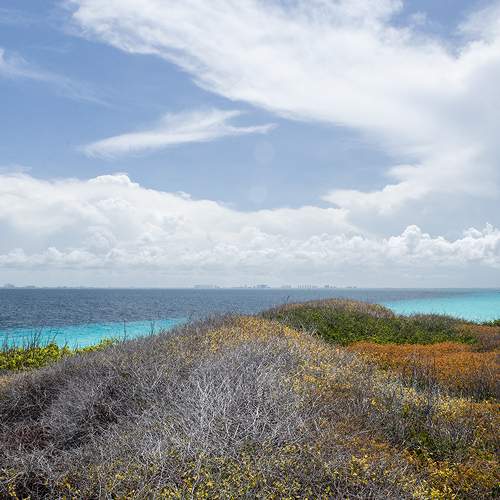 The island color soul