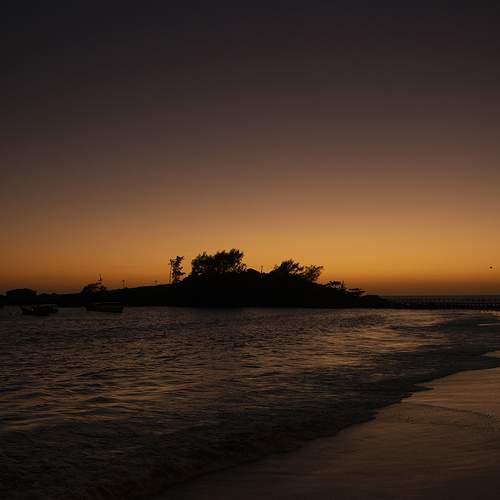 Purple Sunrise O'clock