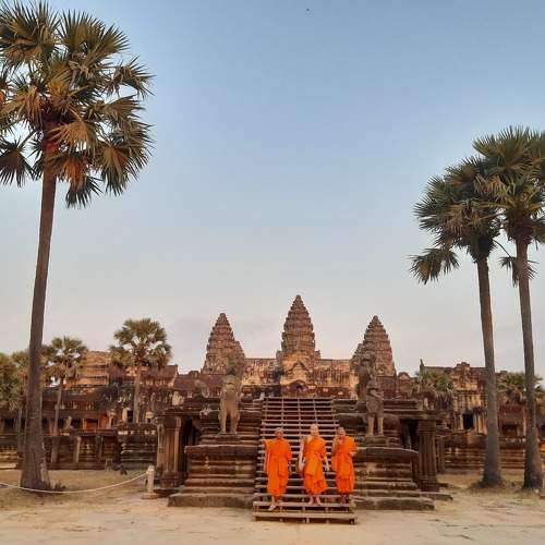 Photo #5818875