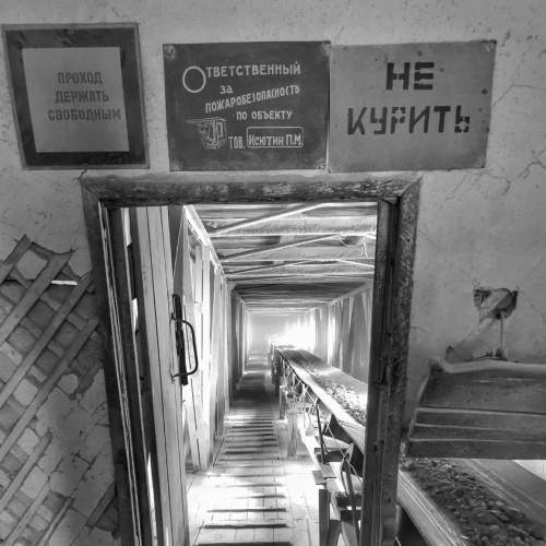 Photo #5818950