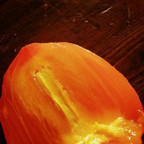 Photo #5819018