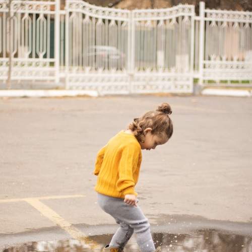Photo #5819055