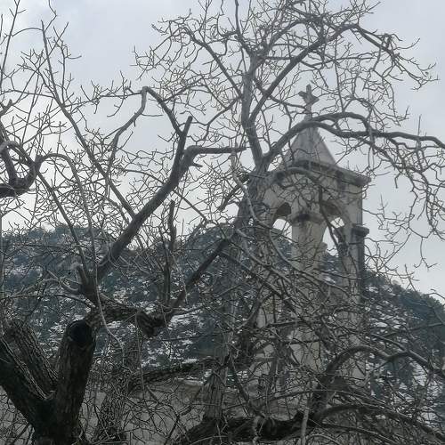 Photo #5819130