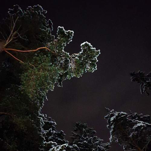 Photo #5819186