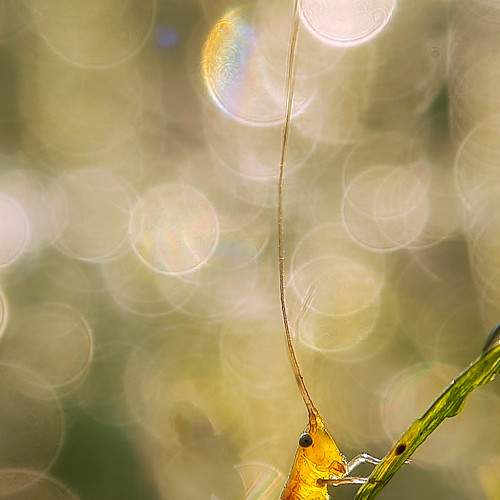 Photo #5819365