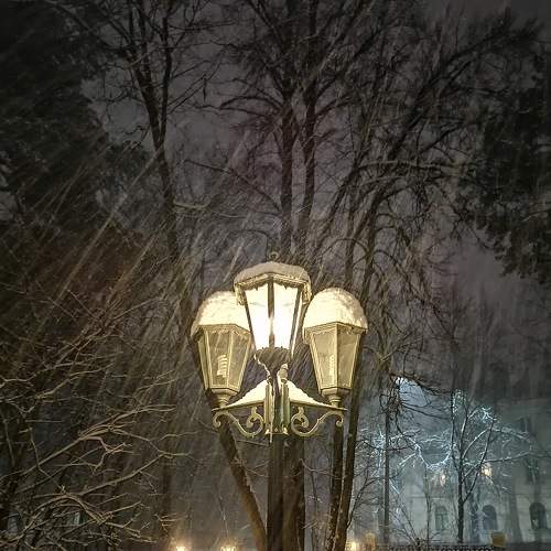 Photo #5819499