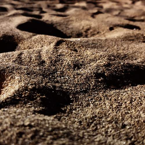 Photo #5819511