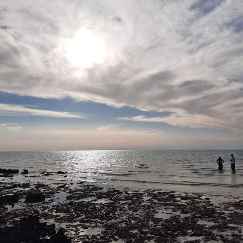 Photo #5819866