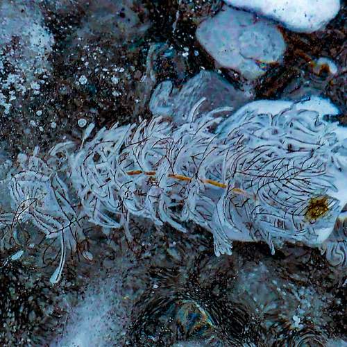 Photo #5820047