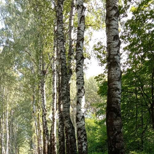 Photo #5820091