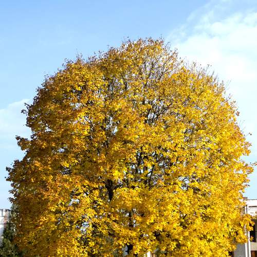 Photo #5820294