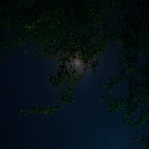 Photo #5820297