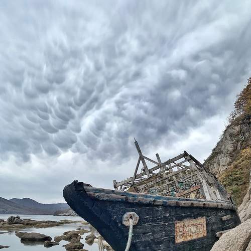 Photo #5820368
