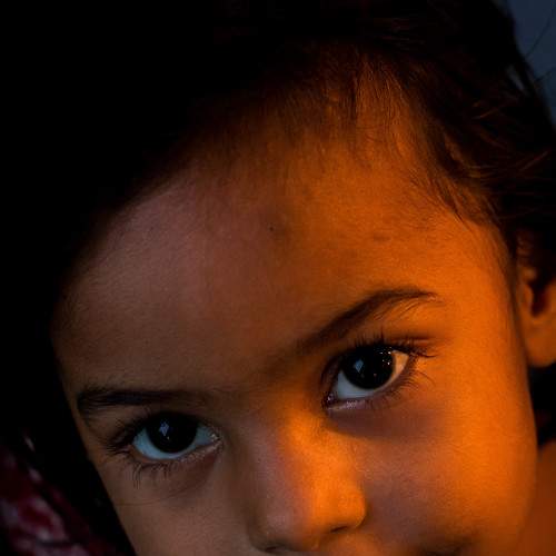 Photo #5820445