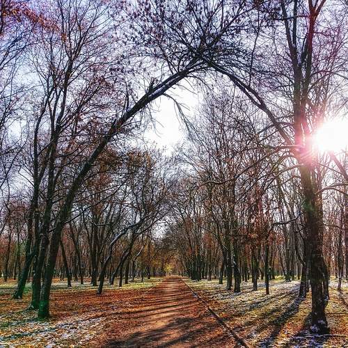 Photo #5820459