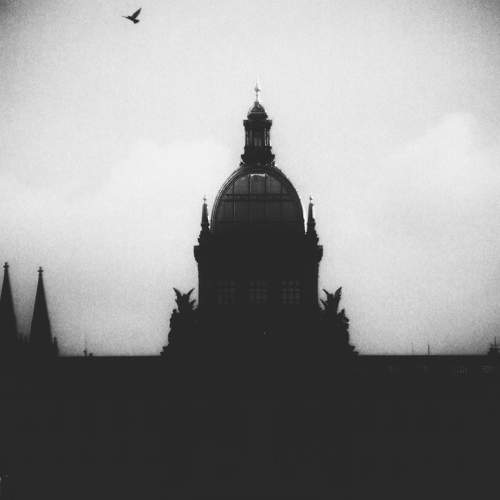 Photo #5820629