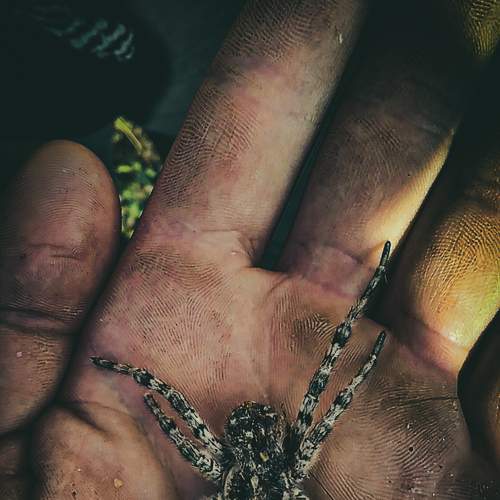 Photo #5820632
