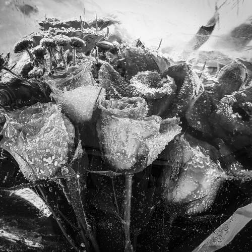 Photo #5820902