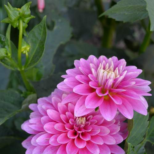 Photo #5820911