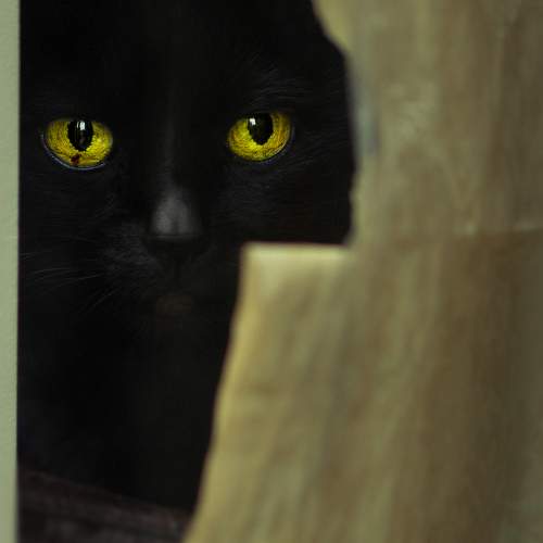 Photo #5821004