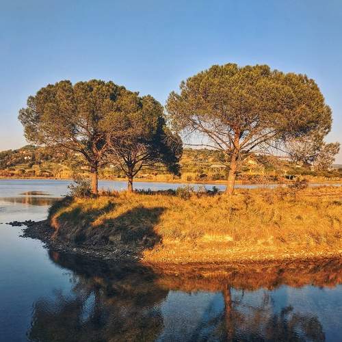 Photo #5821432