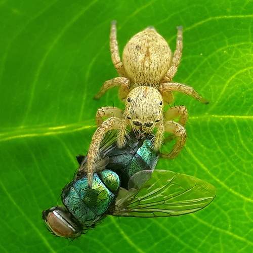 Photo #5822184