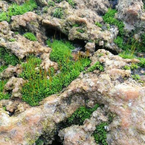 Photo #5822231