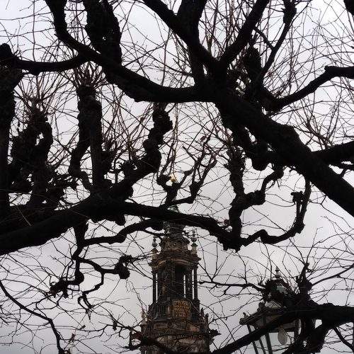 Photo #5822262