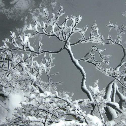 Photo #5822353