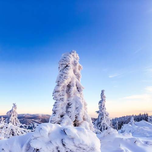 Photo #5822369