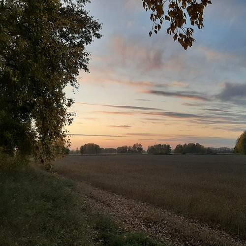 Photo #5822474