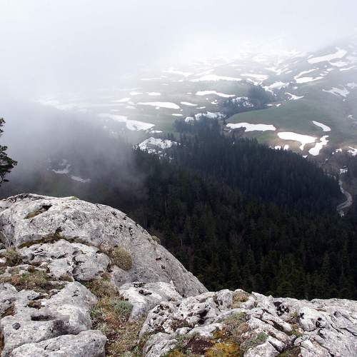 Photo #5822526