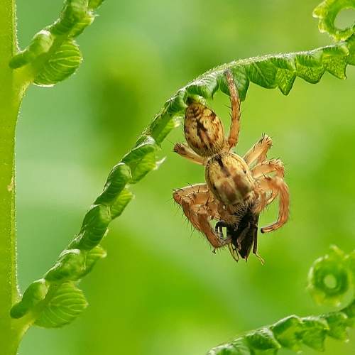 Photo #5822530
