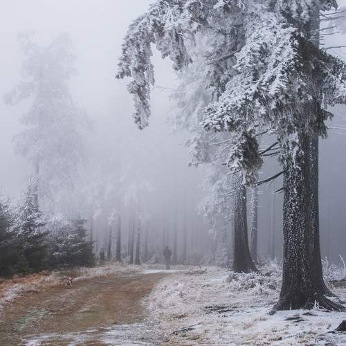 Photo #5822573