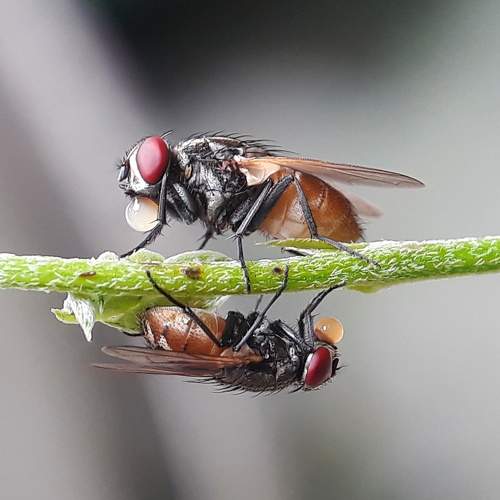 Photo #5822600