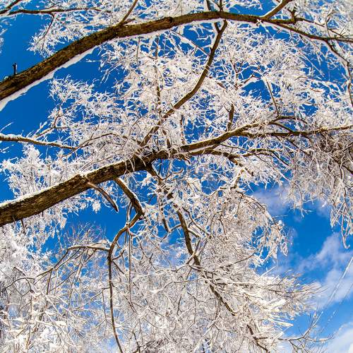Photo #5822736