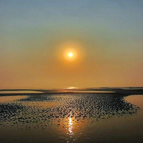Photo #5822990