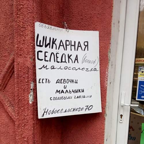 Объявление с голубыми глазами