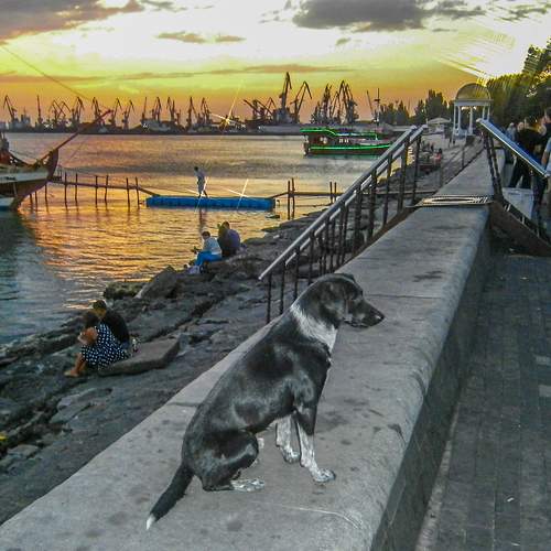 Photo #5823470