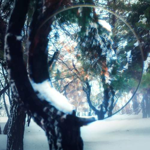 Photo #5823881