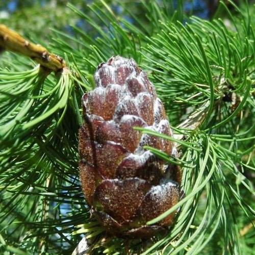 Photo #5824063