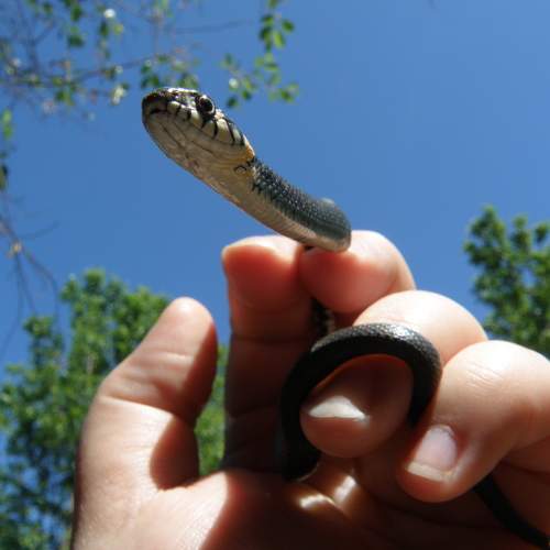 Photo #5824204