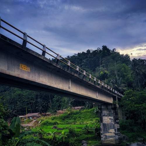 Photo #5824269