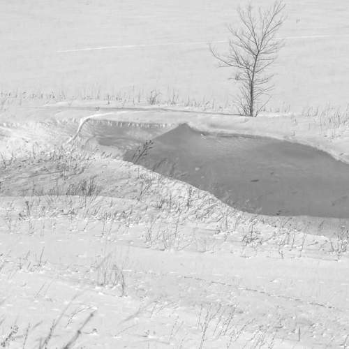 Photo #5824372